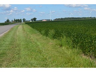 Property photo 15 - 233 +/- Acres Offered in 3 Tracts, Ohio Land Auction